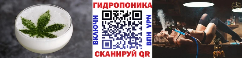 Canna-Cookies марихуана  Элиста 
