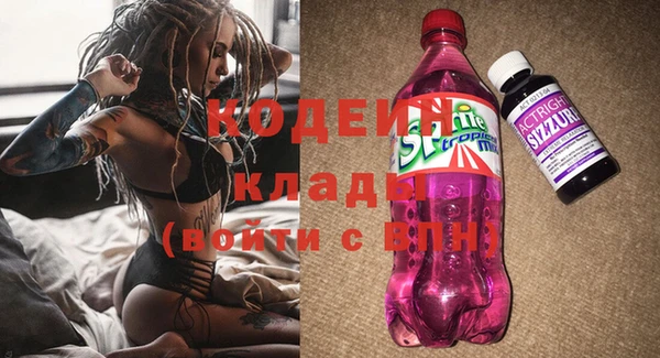 прущие грибы Кукмор