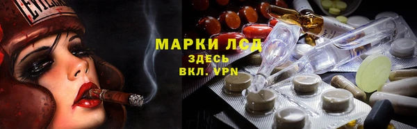 прущие грибы Кукмор