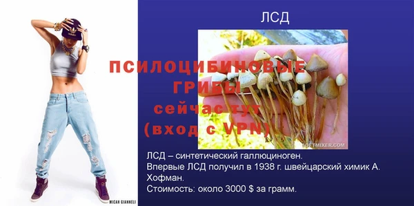 молекула духа Лабытнанги