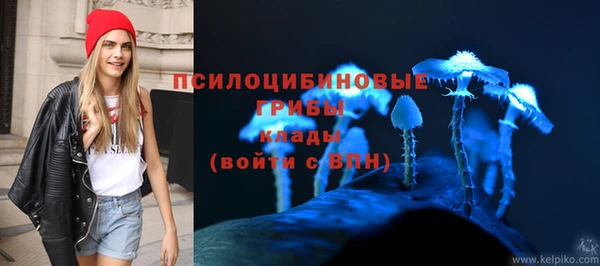 крисы Лагань