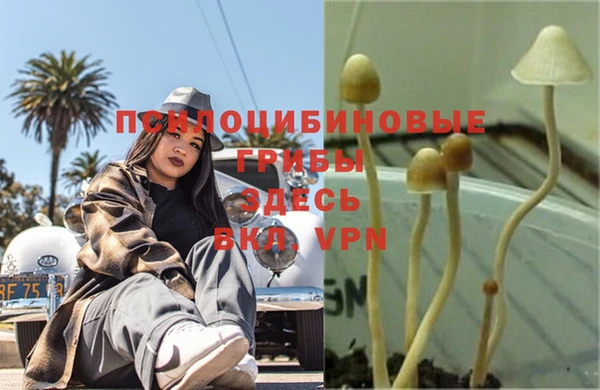 молекула духа Лабытнанги