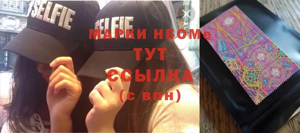 молекула духа Лабытнанги