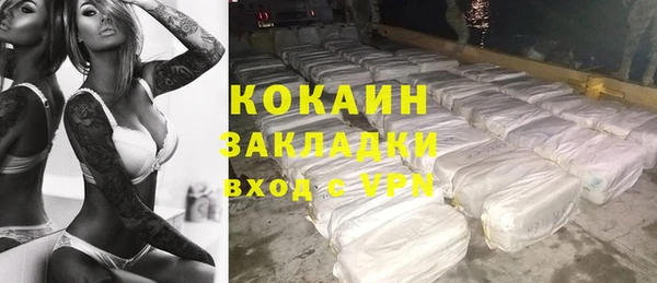 молекула духа Лабытнанги