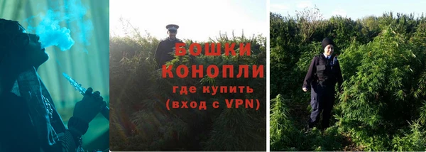 прущие грибы Кукмор