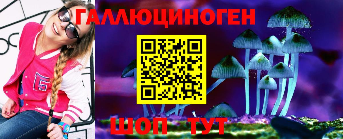 Галлюциногенные грибы прущие грибы Элиста